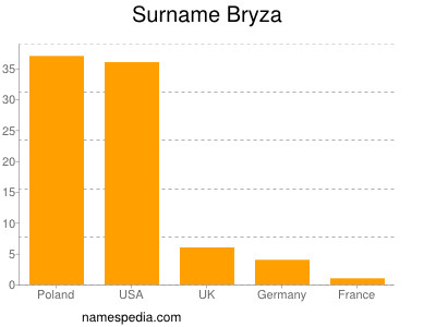 Surname Bryza
