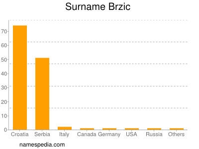 Surname Brzic