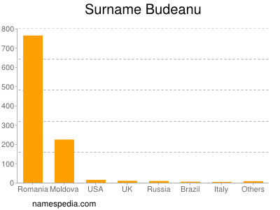 Surname Budeanu
