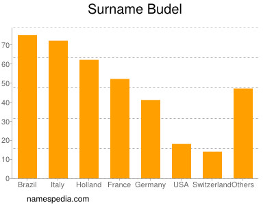 Surname Budel