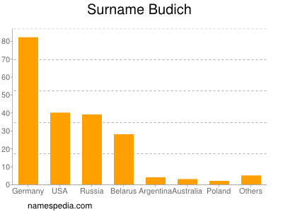 Surname Budich