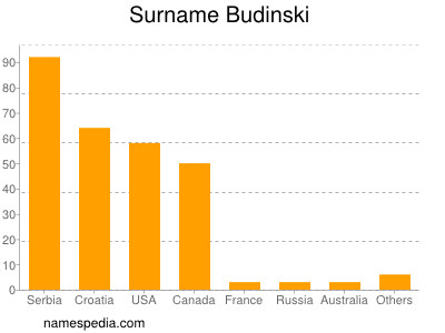Surname Budinski