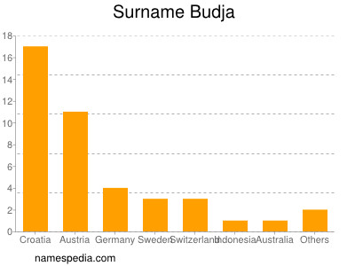 Surname Budja