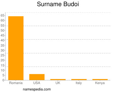 Surname Budoi