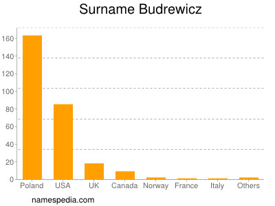 Surname Budrewicz