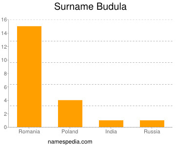Surname Budula