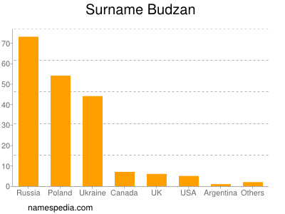 Surname Budzan