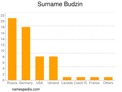 Surname Budzin