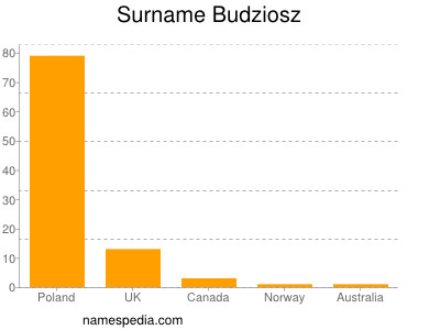 Surname Budziosz