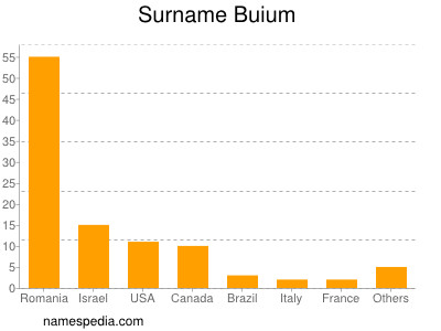 Surname Buium