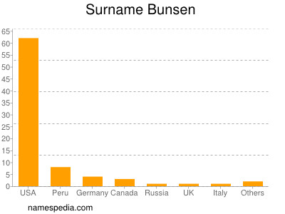 Surname Bunsen
