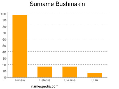 Surname Bushmakin
