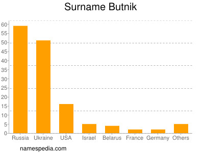Surname Butnik