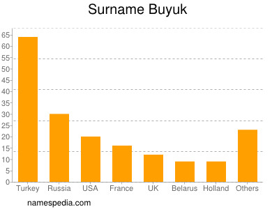 Surname Buyuk
