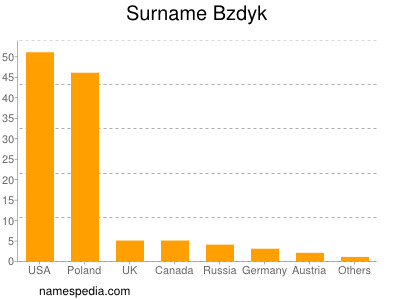 Surname Bzdyk