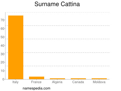 Surname Cattina