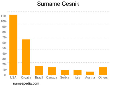 Surname Cesnik