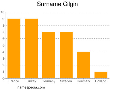 Surname Cilgin