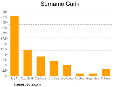 Surname Curik
