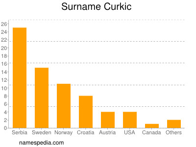Surname Curkic