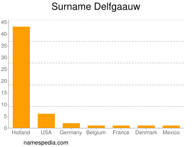 Surname Delfgaauw