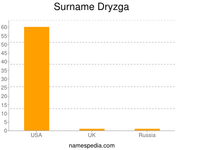 Surname Dryzga
