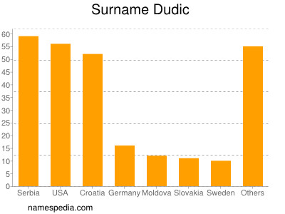 Surname Dudic