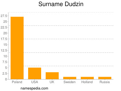 Surname Dudzin