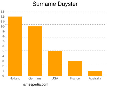Surname Duyster
