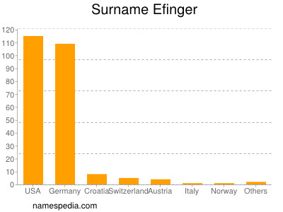 Surname Efinger