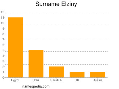 Surname Elziny