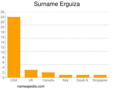 Surname Erguiza