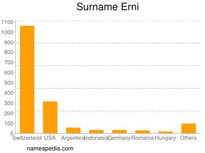 Surname Erni