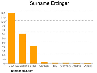 Surname Erzinger