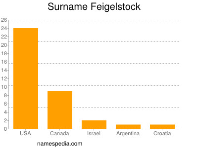 Surname Feigelstock