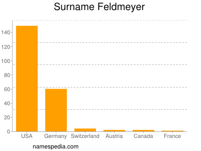 Surname Feldmeyer