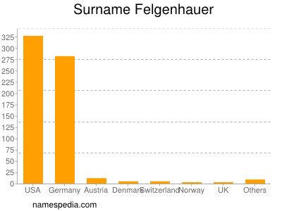 Surname Felgenhauer