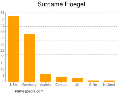 Surname Floegel