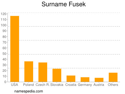 Surname Fusek