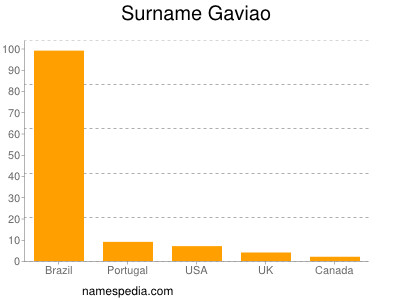 Surname Gaviao
