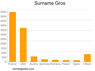 Surname Gros