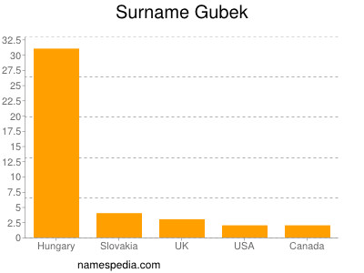 Surname Gubek