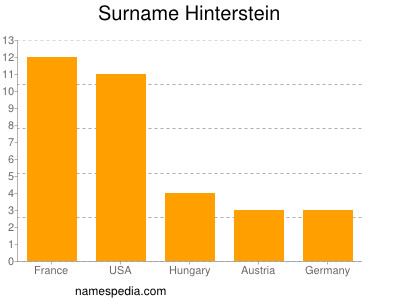 Surname Hinterstein