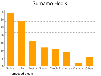 Surname Hodik