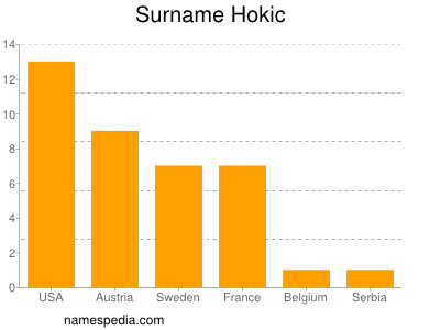 Surname Hokic