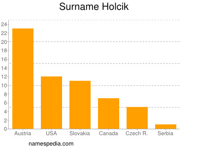 Surname Holcik