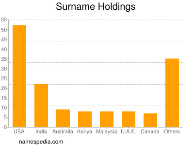 Surname Holdings