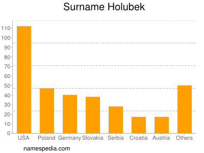 Surname Holubek