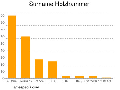 Surname Holzhammer