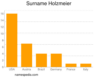 Surname Holzmeier